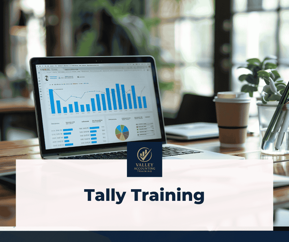 Accounting training software